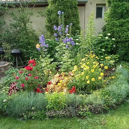 Hébergement de vacances Lenart House 1